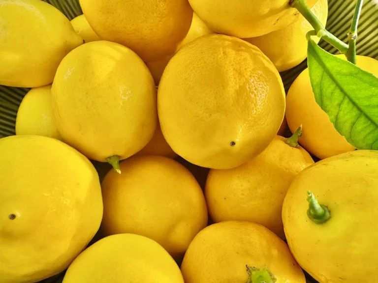 Bright yellow lemons perfectly captured with a single green leaf, conveying freshness and vitality
