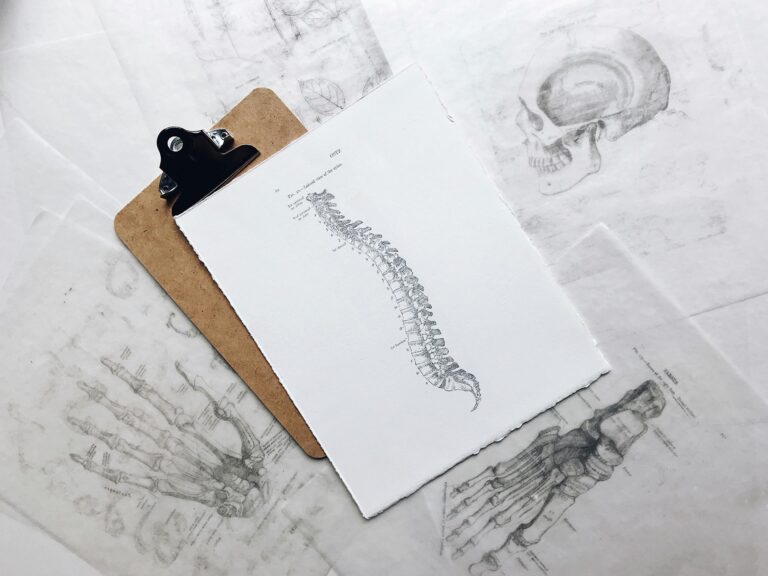 Drawing of Spine